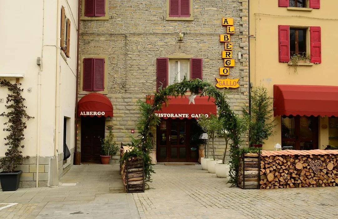Albergo Ristorante Gallo-1
