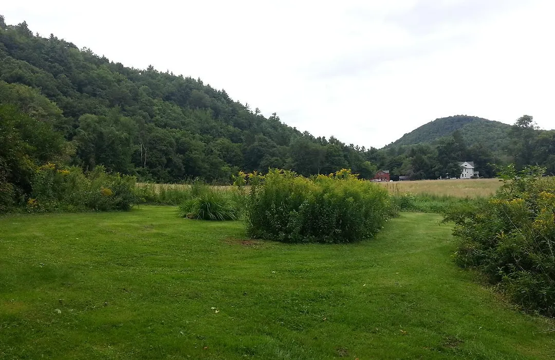 A Meadow House-1