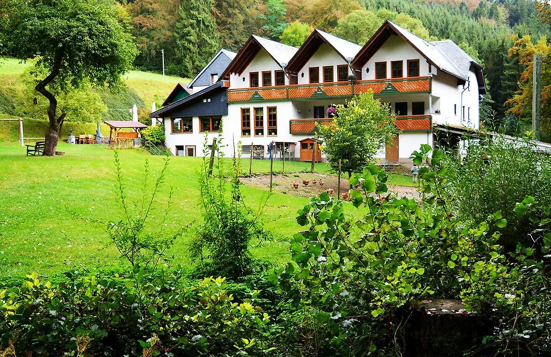 Baunhöller-Mühle-1