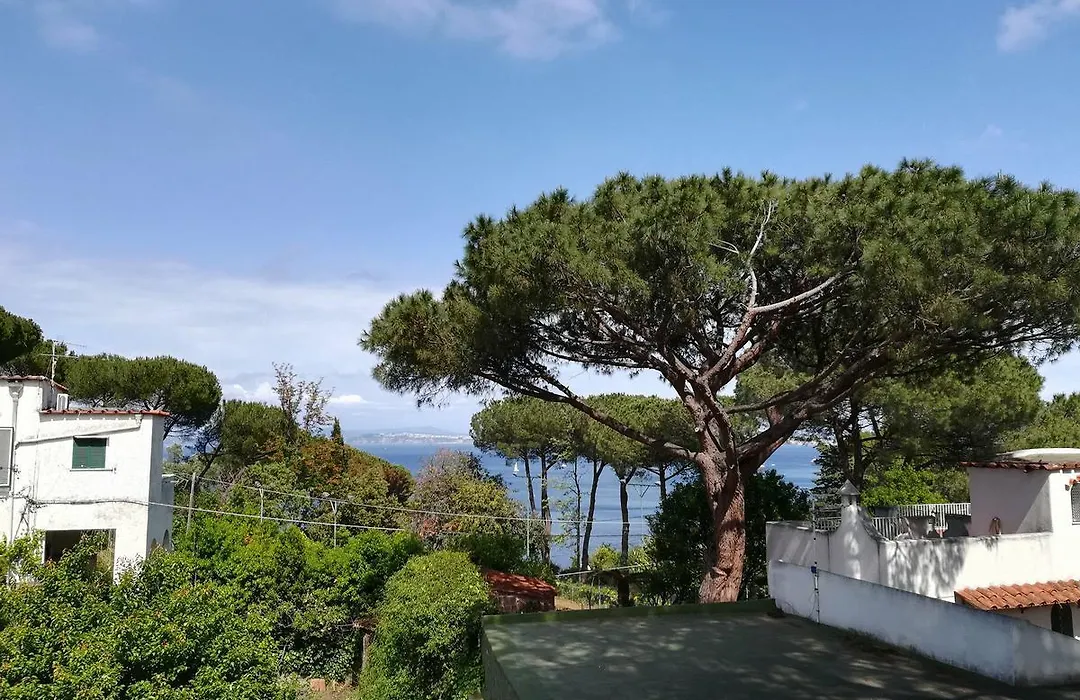 Villa Cinque Pini-1