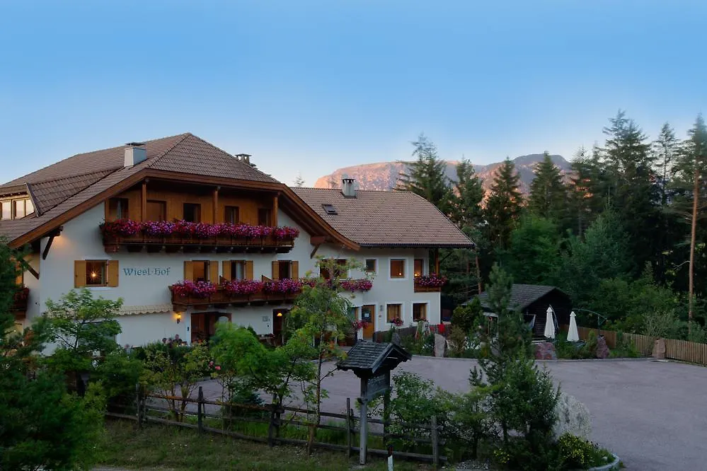 Hotel Wieslhof-1