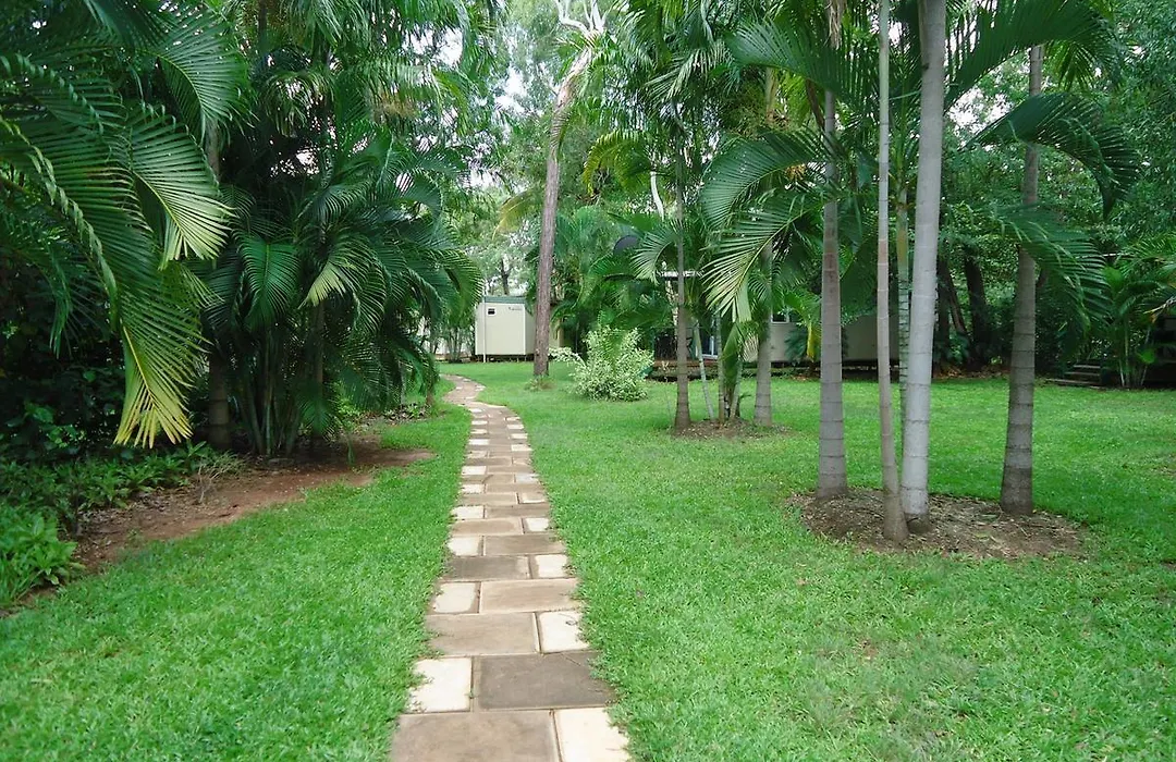 Pandanus On Litchfield-1