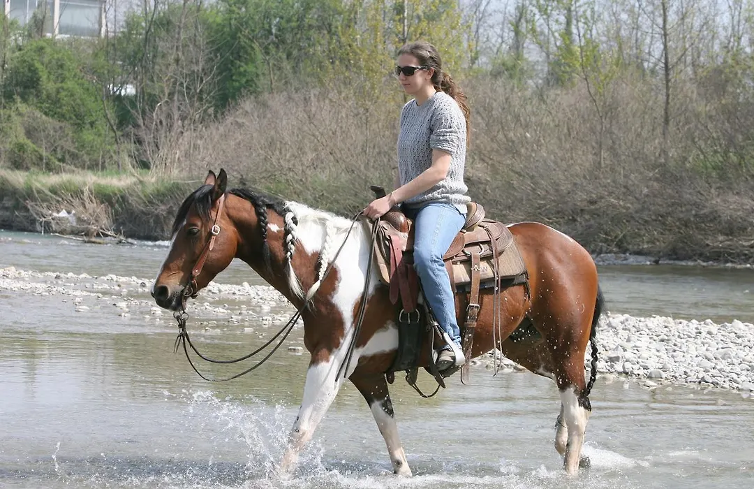 Cowboys Guest Ranch-1