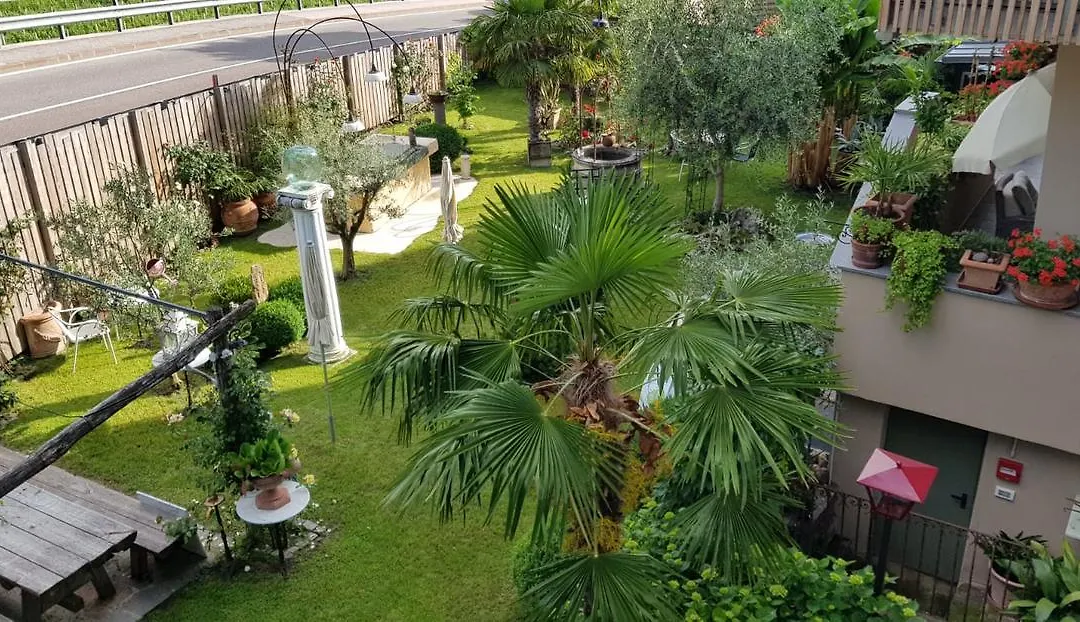 B&B Pizzeria Zur Traube-1