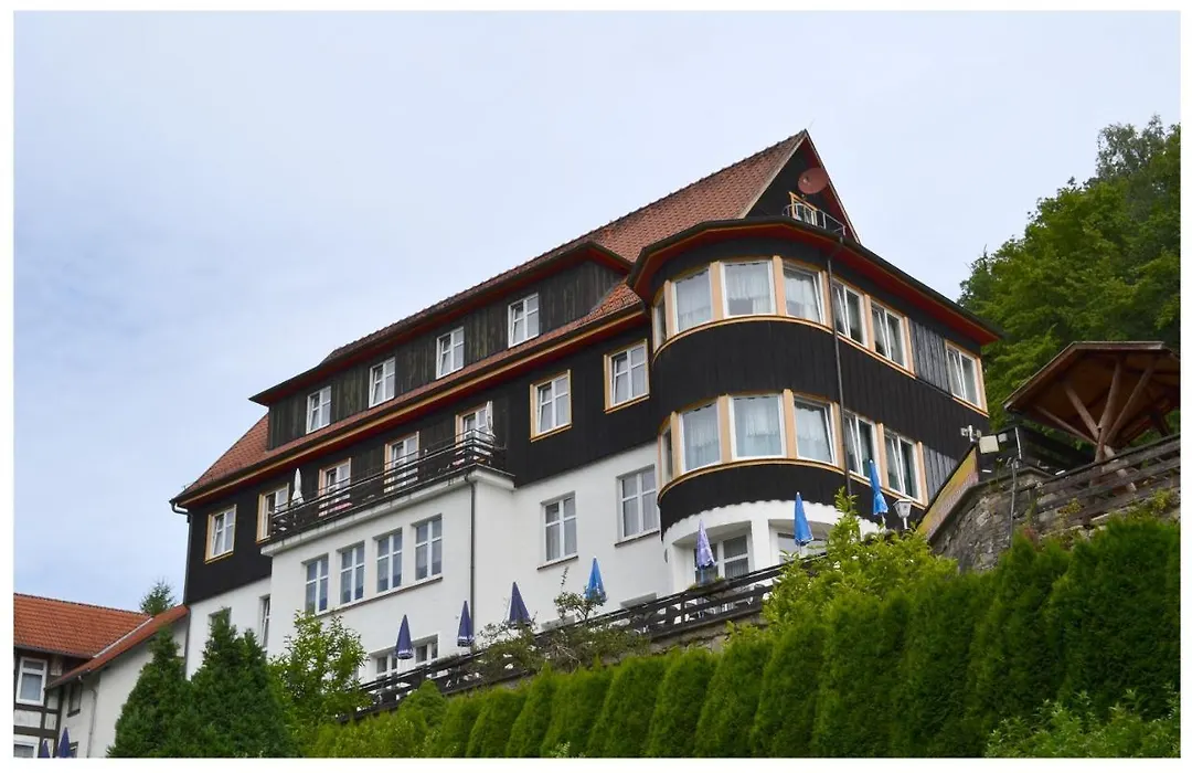 Pension&Restaurant Zum Harzer Jodlermeister-1