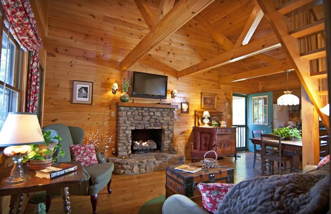 Mountain Springs Cabins-1