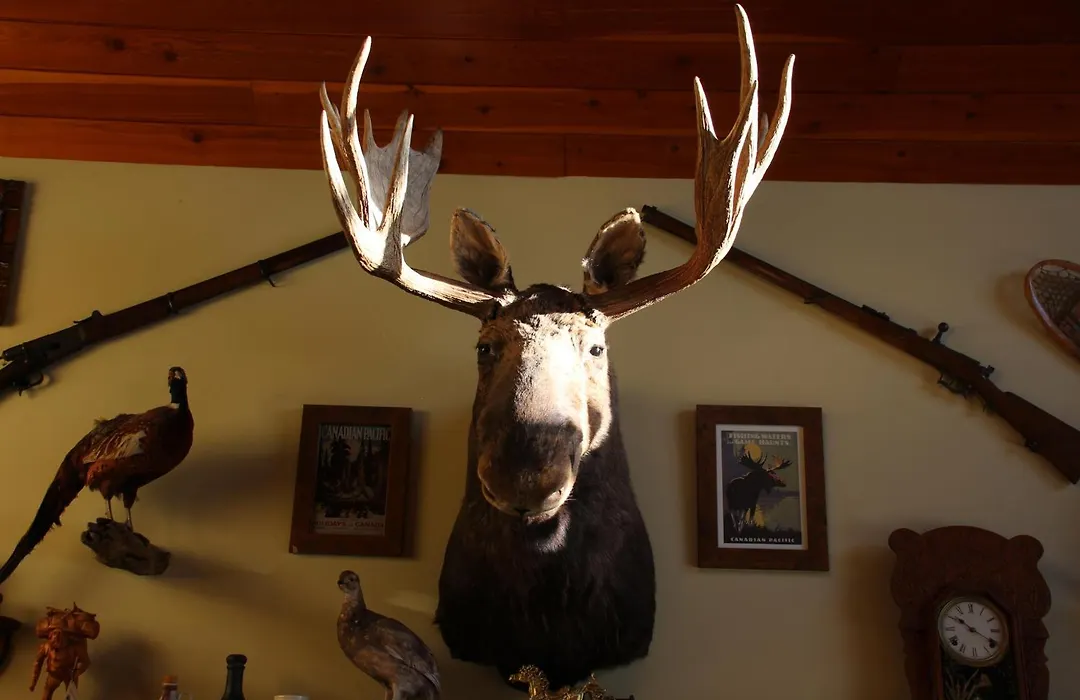 Montana Hill Guest Ranch-1