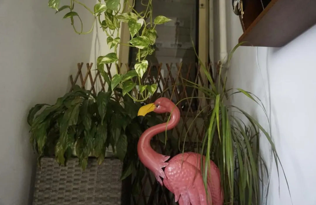 Hotel Arcobaleno-1