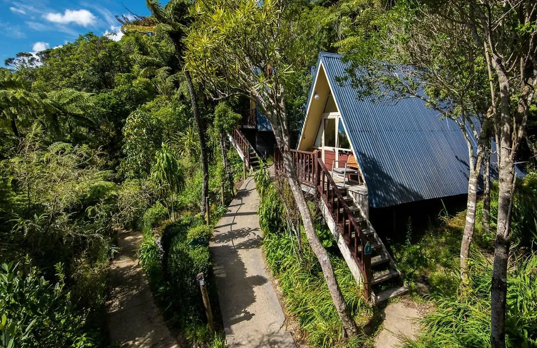Punga Cove Resort-1