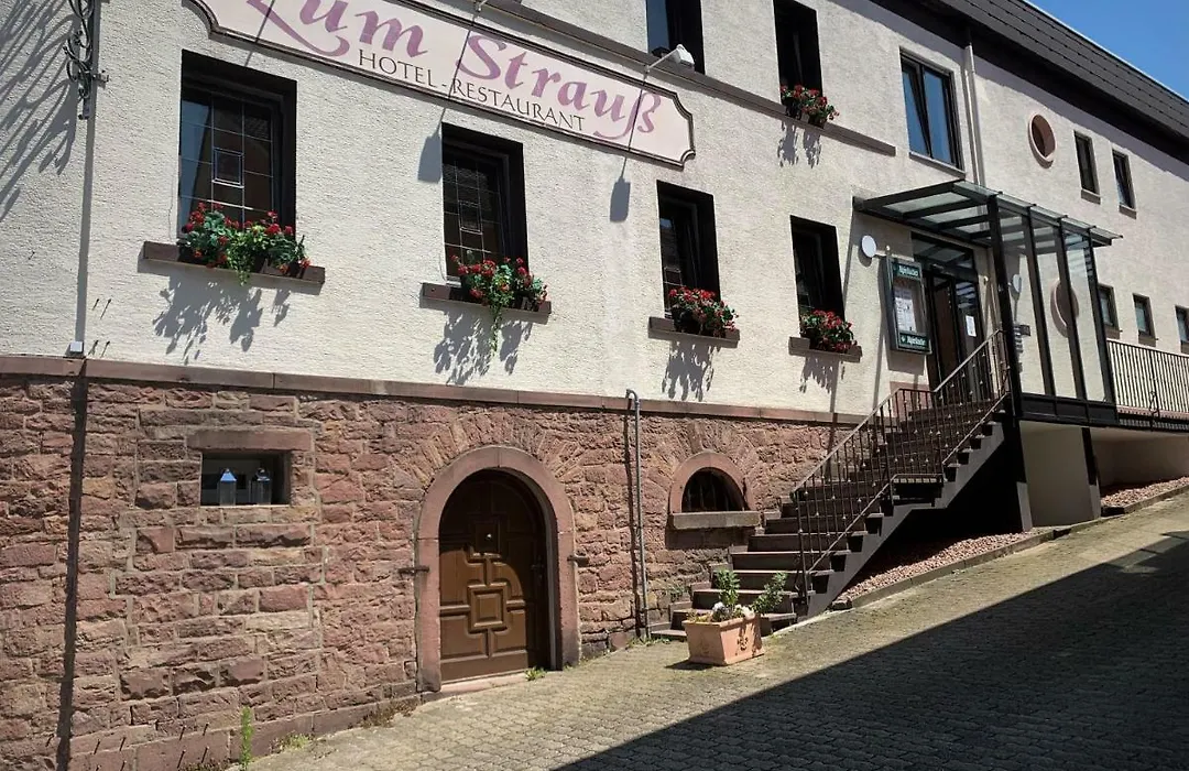 Hotel Zum Strauss-1