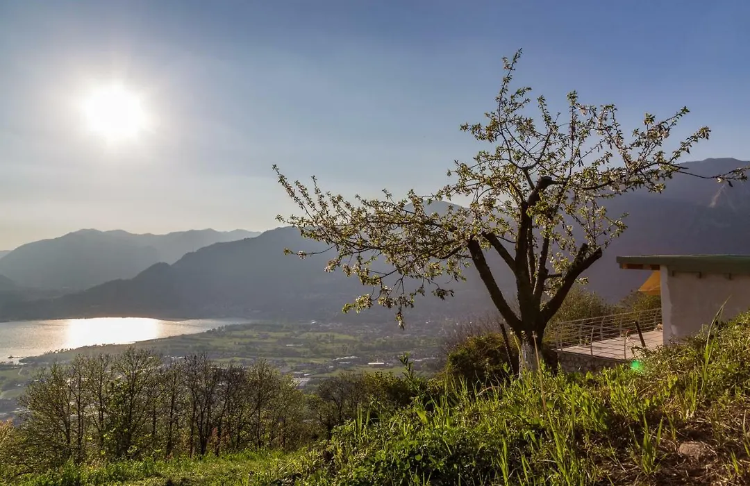 Alveare sul lago-1