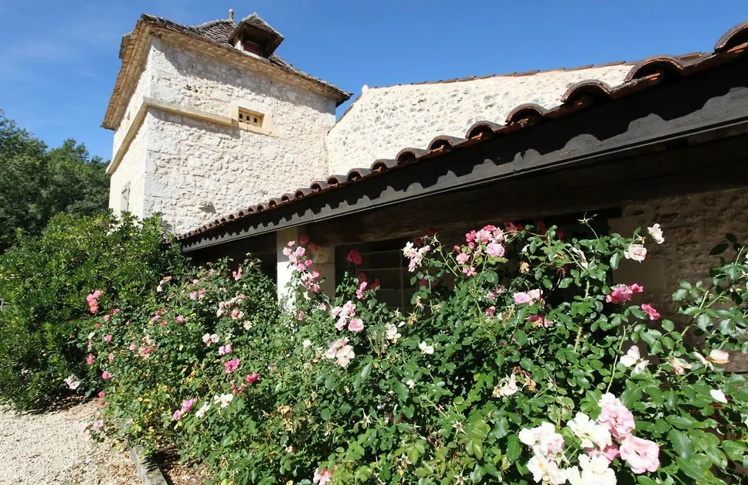 Domaine du Merlot-1