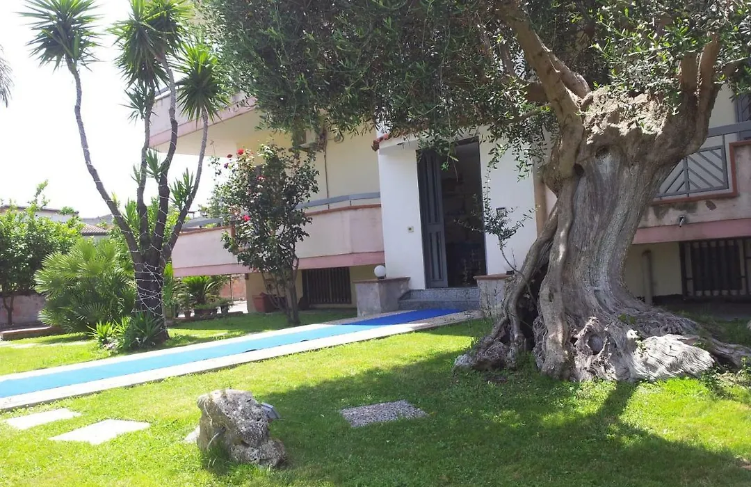 Vesuvio Bed & Breakfast-1