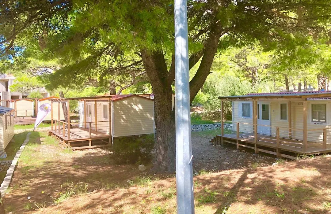 Kamp Dole - Navores-1