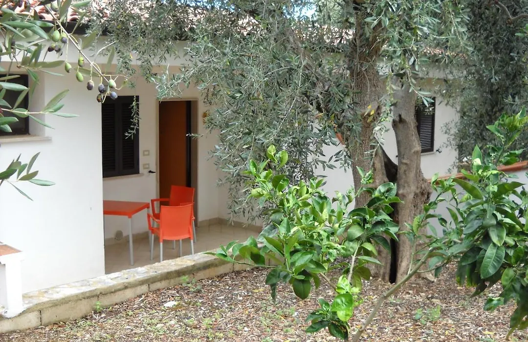 Zagare Residence-1