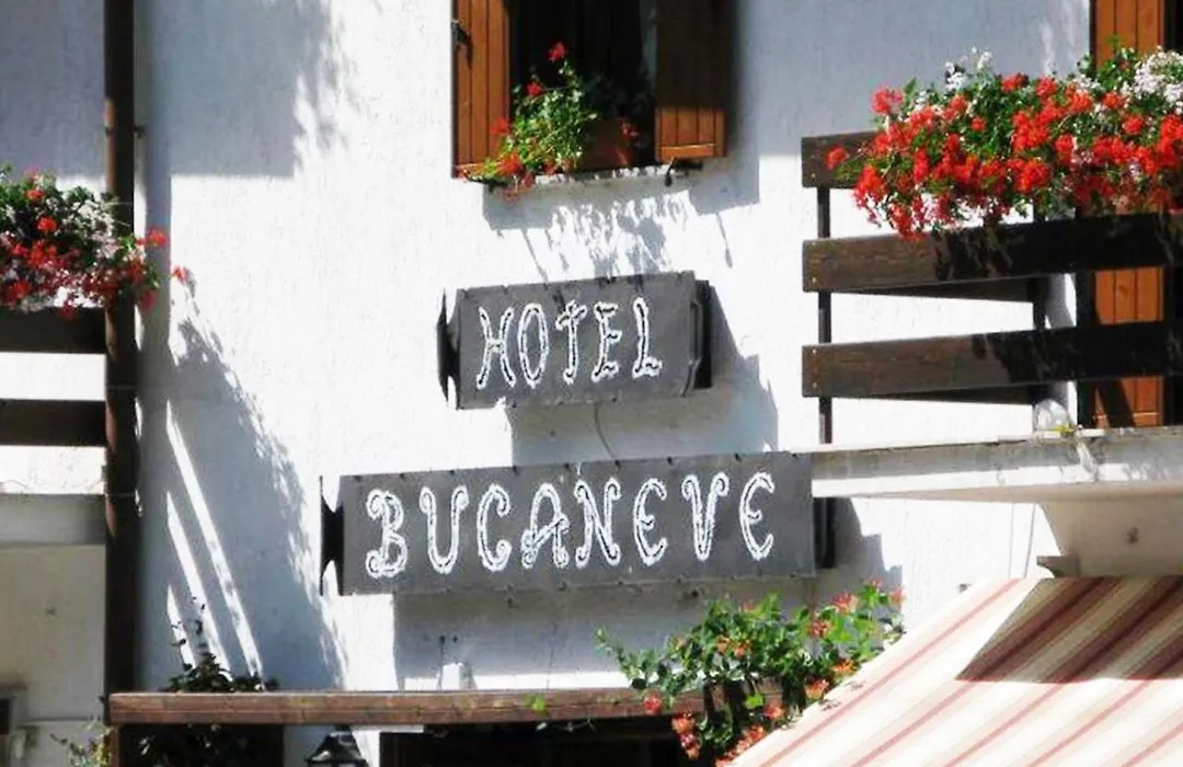 Hotel Bucaneve-1