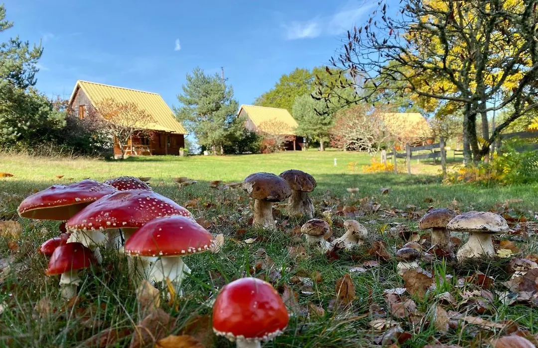 Chalet à la campagne, proche d'Ussel-1
