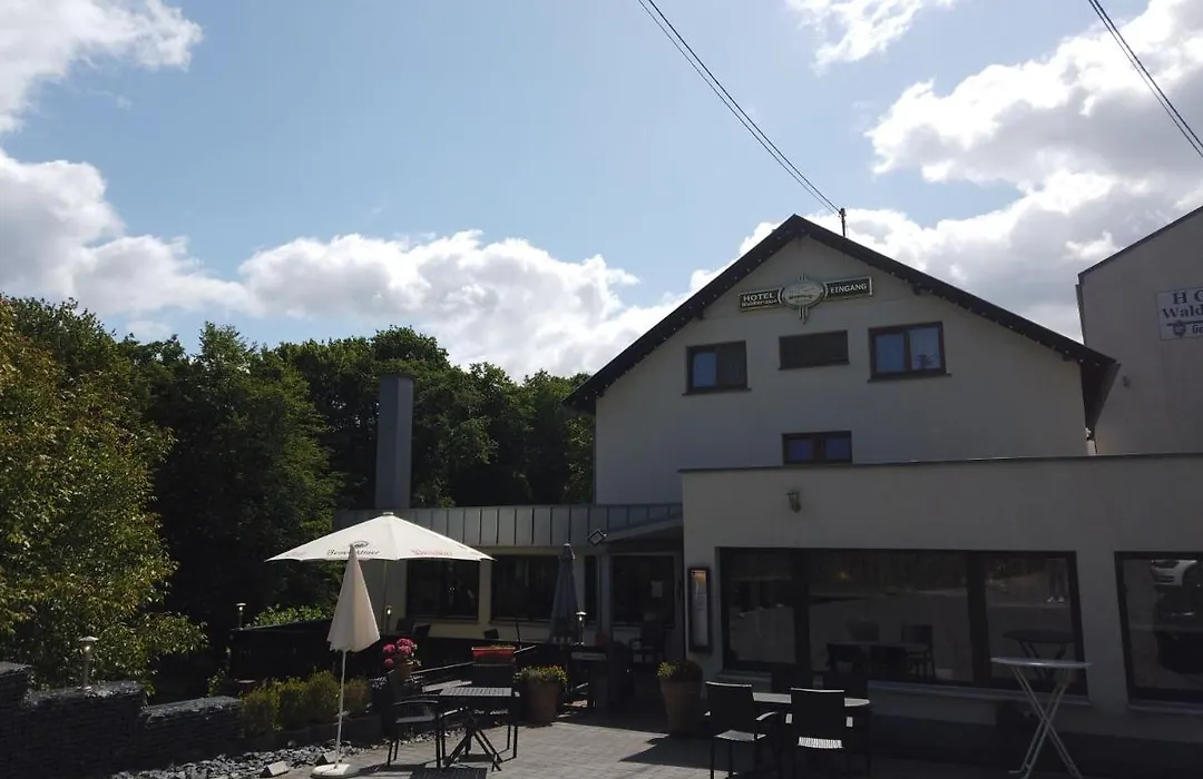 Hotel Waldterrasse-1