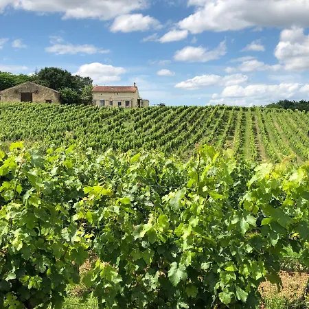 Chateau le Truch-3