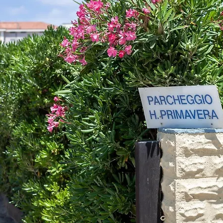 Hotel Primavera sul mare-3