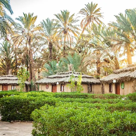 Riad Lamane-2