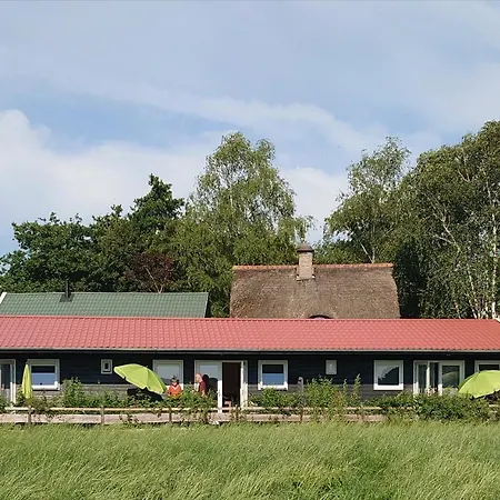 B&B Zusenzomer-2