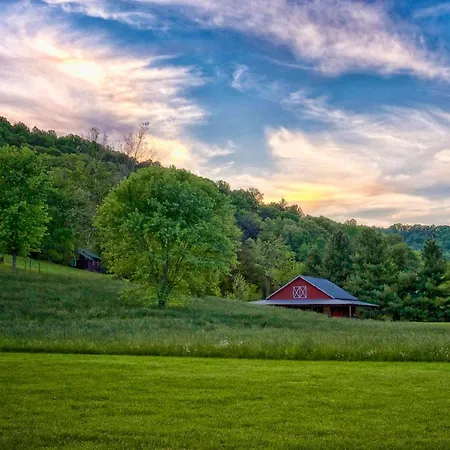 Mountain Springs Cabins-3
