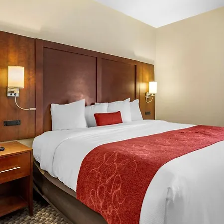 Comfort Suites Cordova-3