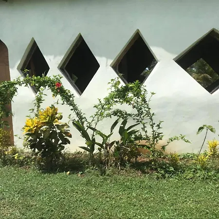 Green Zion Garden-3
