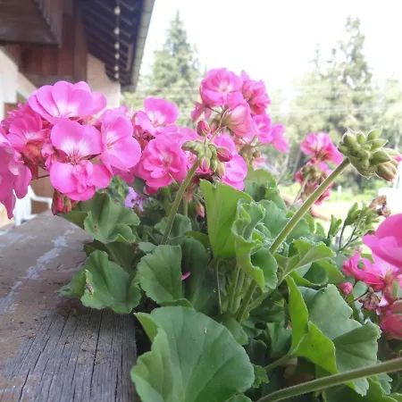 Beim Haxenwirt-2