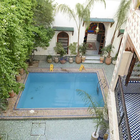 Riad El Yacout-2
