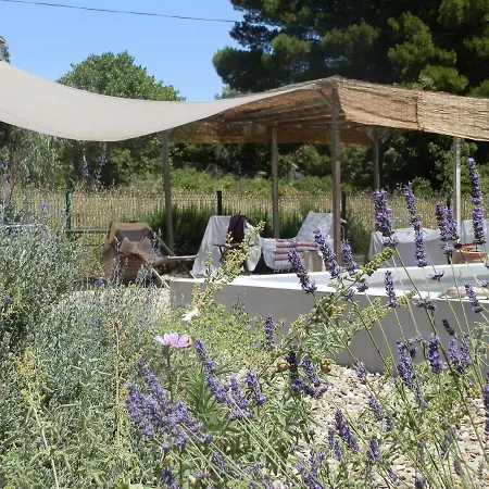 Domaine de Manteau-Bleu-3