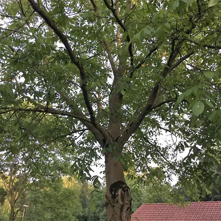 B&B Op 't Eikenschoor-3