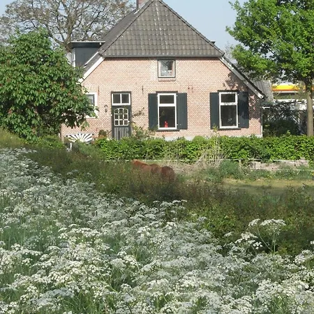 Bed&Garden Alde Coninckshof-2