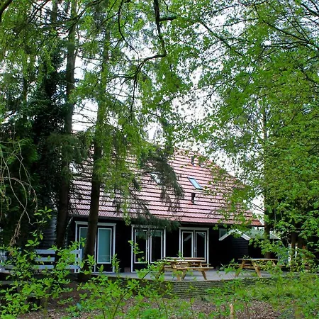 B&B de Wingerd-3