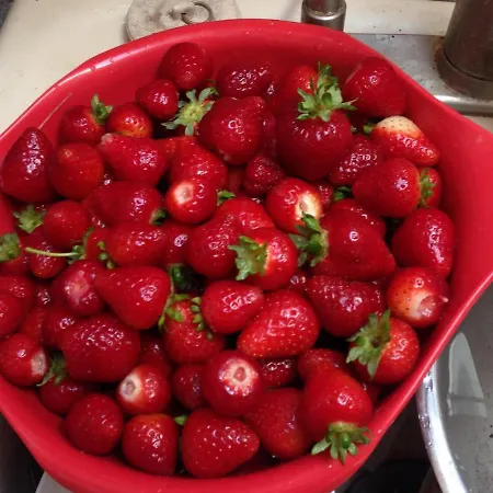 Nettles Farm-2