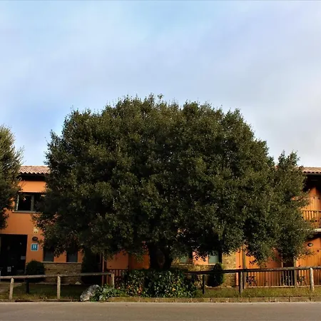 Hotel Seva-2