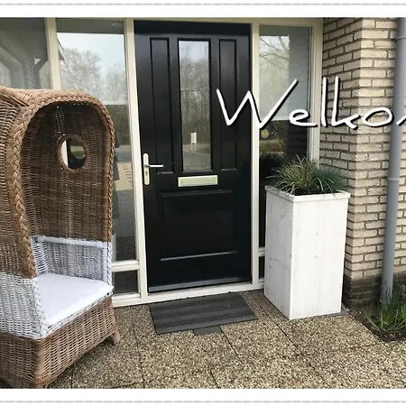 Zilt Texel-2