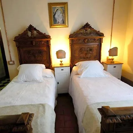 B&B Cimamori-3