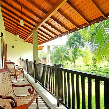 Villa Peacock-3