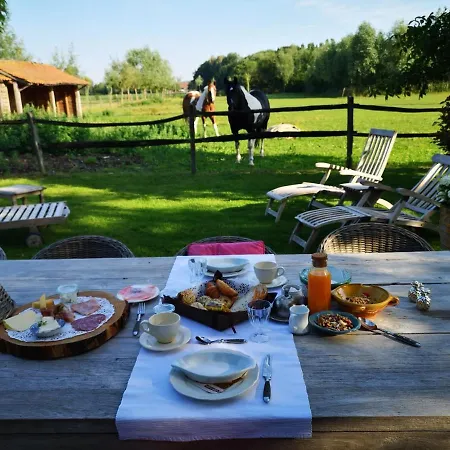 Casa Leone Near Bruges With Jacuzzi & Parking-2