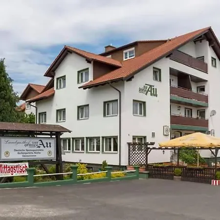 Grüne Au Hotel-3