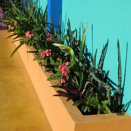 Hotel Arcoiris Tulum-2
