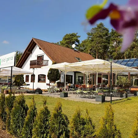 Lokal Genial Pension & Restaurant-2