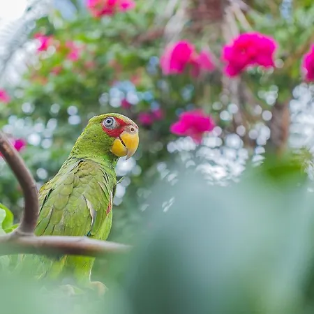 Hotel Lagoon - Pet Friendly-2