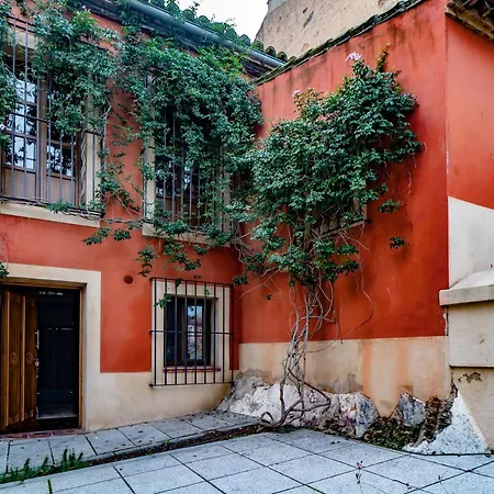 Hotel Alfonso IX (Adults Only)-3