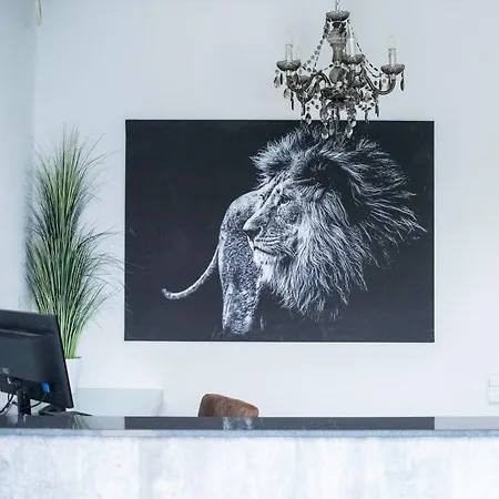 Hotel Leo-3