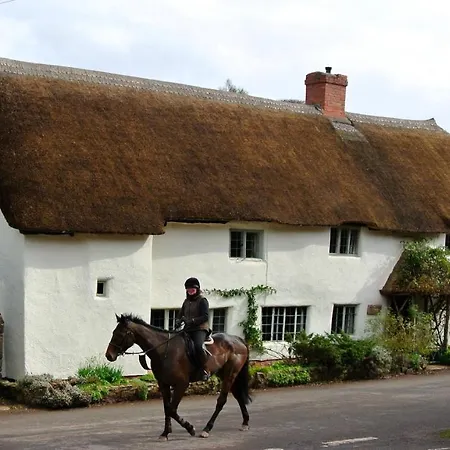 Notley Arms Inn Exmoor National Park-3