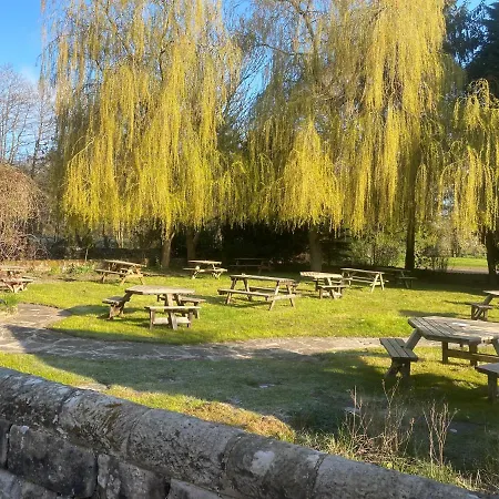 The Royal Oak-2
