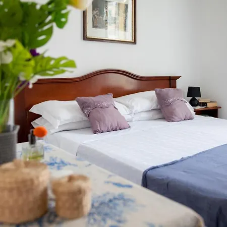 Hotel Mimosa-2